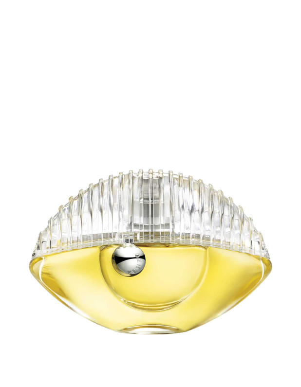 World Power Edp
